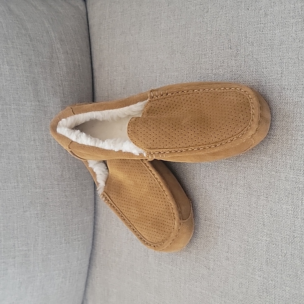 Kookaburra By UGG Men's Tipton Emboss in Chestnut NWOB